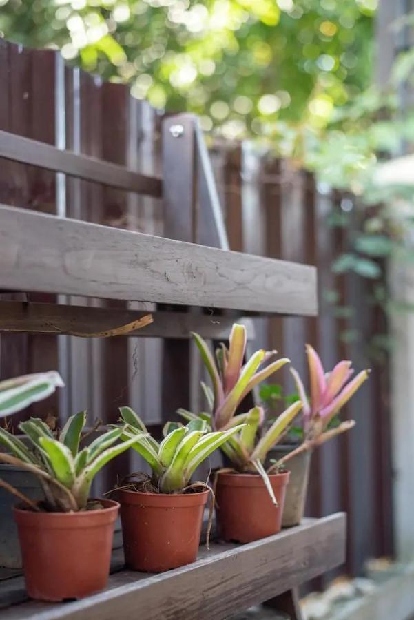 Loft Style Townhouse Near Old City Chiang Mai Exterior foto